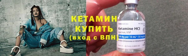 крисы Новодвинск