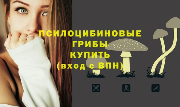 первитин Абаза