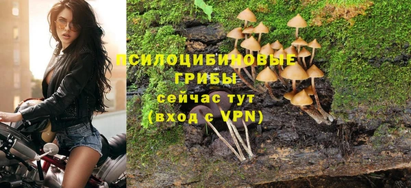 шишки Абдулино
