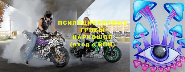 шишки Абдулино