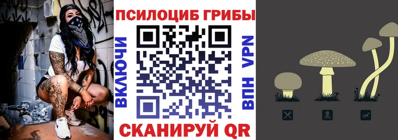 Псилоцибиновые грибы GOLDEN TEACHER  MEGA маркетплейс  Энем 
