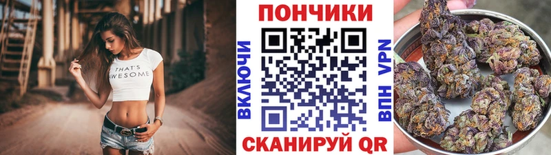 Шишки марихуана конопля  Энем 